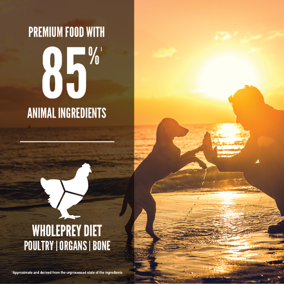 Orijen puppy food how much to feed 2025